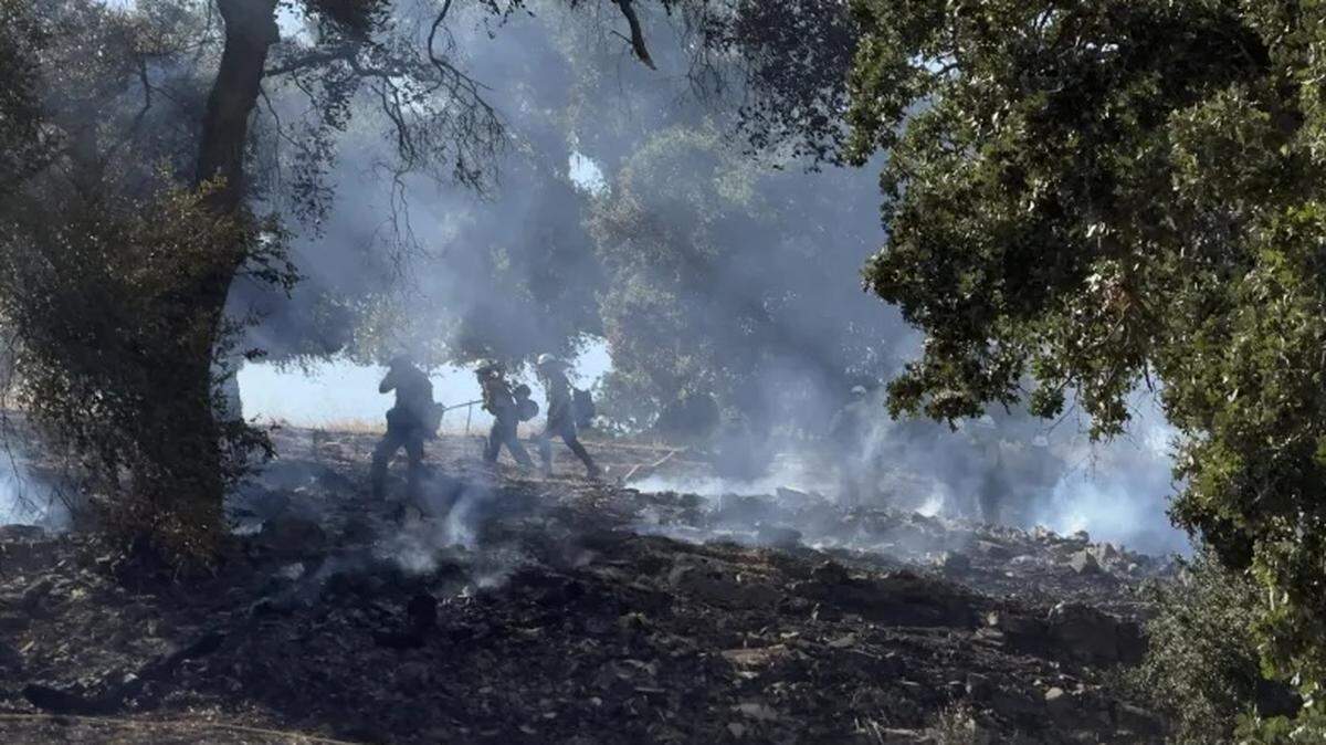 Firefighters attack burning vegetation along Highway 101 in the Santa Ynez Valley on Aug. 22, 2025. Crews stopped the forward progress for the 10-acre fire that closed Highway 101 for a few hours Friday.
