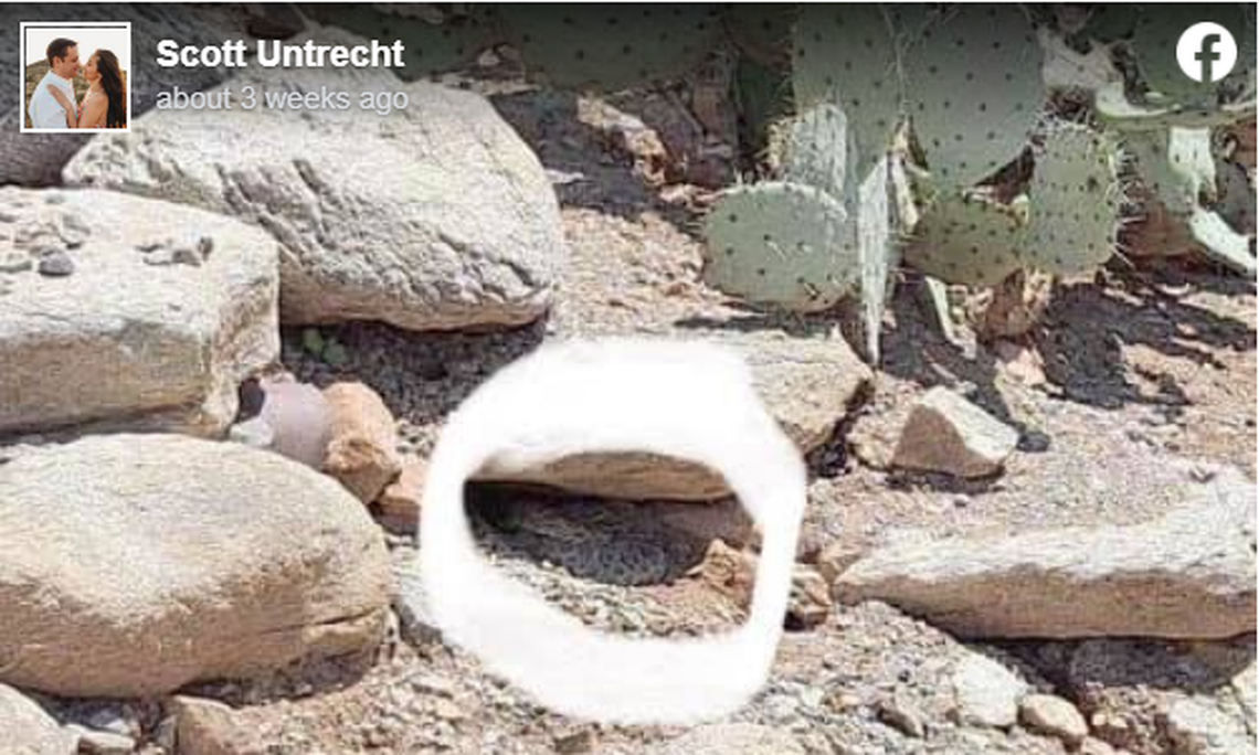 This is where the sneaky snake is hiding.