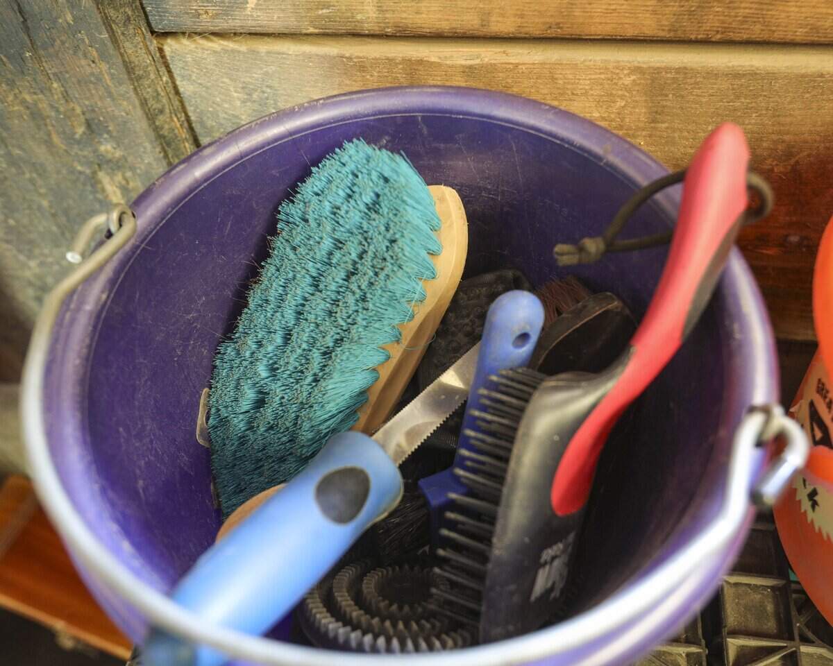 Learning to care for horses and keeping tools and workspaces organized is a part of lessons given. Marina Premoli is starting a north county equestrian therapy program, seen here on May 27, 2026.