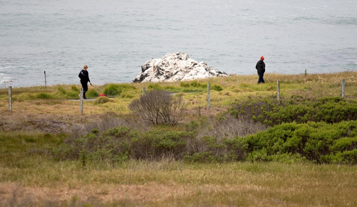 Fiscalini Ranch Preserve will soon have a closed-loop, ADA compliant boardwalk, a 1.6-mile trail along bluff-top and coastal prairie. A couple of hikers enjoy the Bluff Boardwalk Trail.