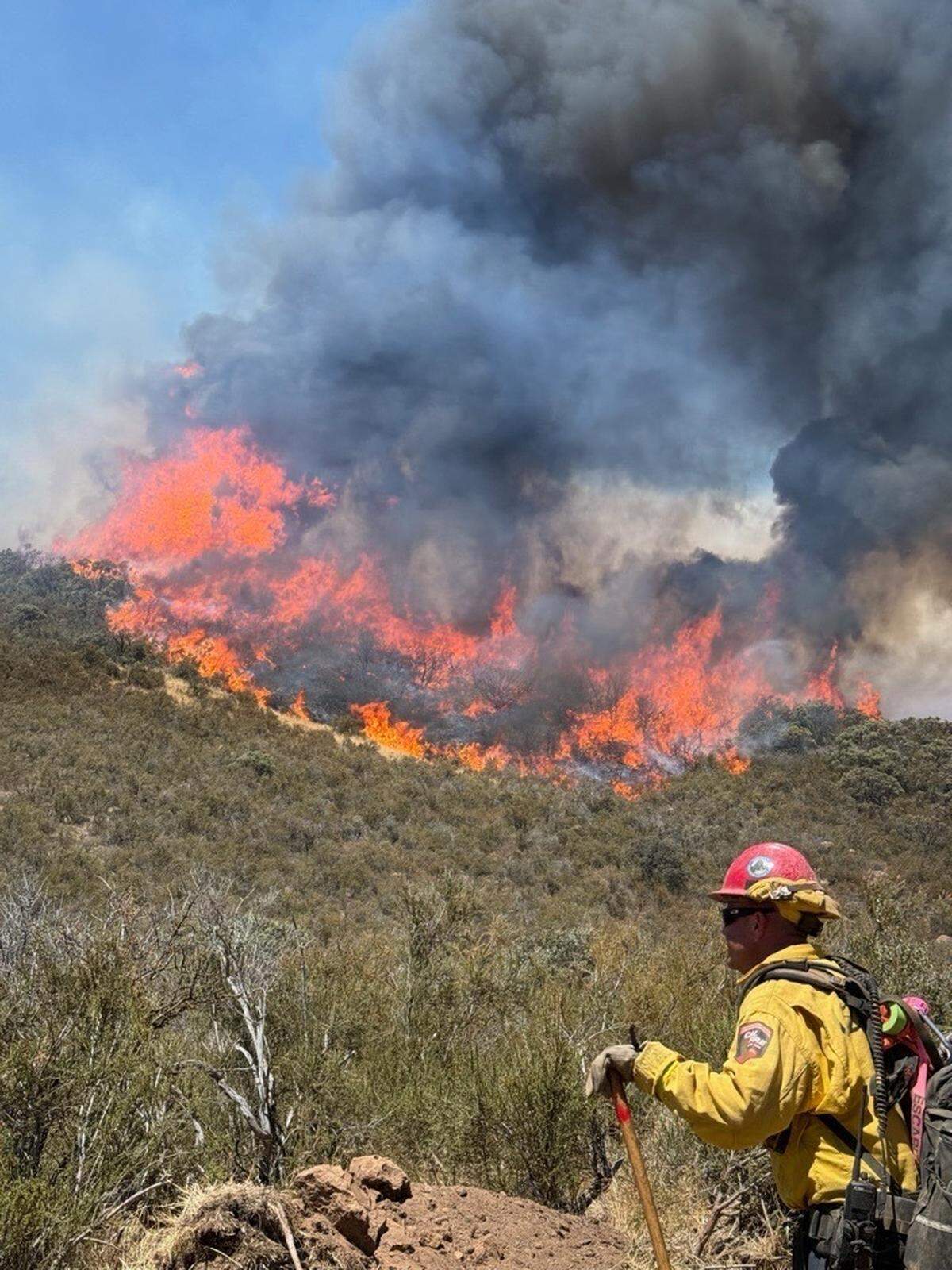 A firefighter watches flames from the Gifford Fire on Saturday, Aug. 9. 2025.
