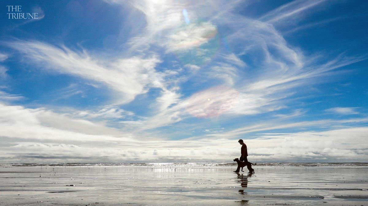 Shaun Perisho walks Bodie at Pismo Beach in March 2019. A new online resource features