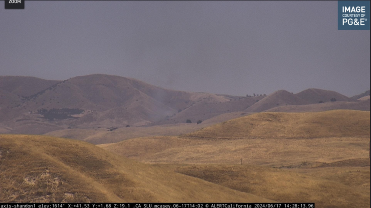 A vegetation fire was reported to Cal Fire at around 1:57 p.m. north of the Cholame Y along Highway 41 on June 17, 2024.