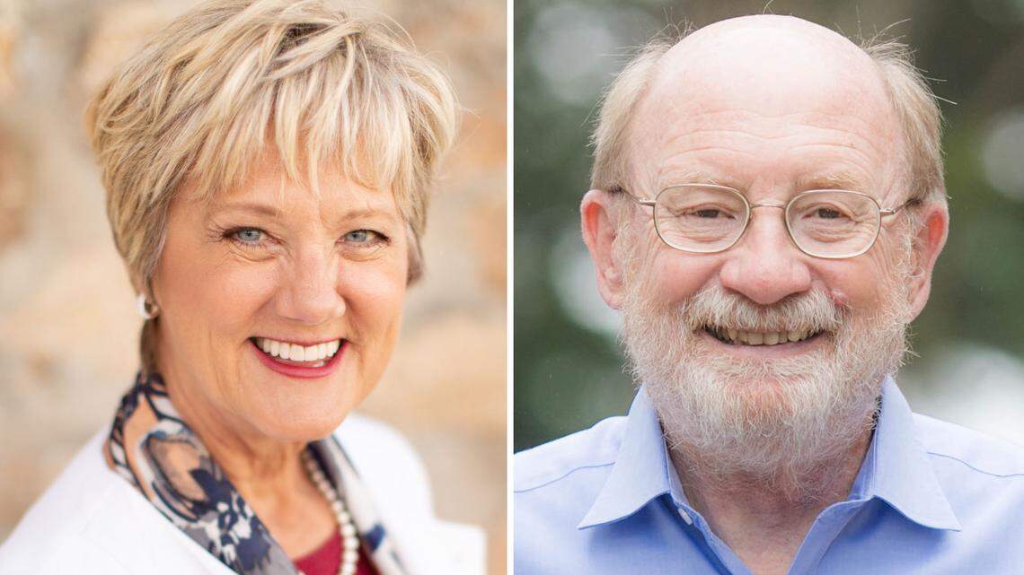 2020 Voter Guide: How candidates for SLO County’s state Senate seat compare on issues