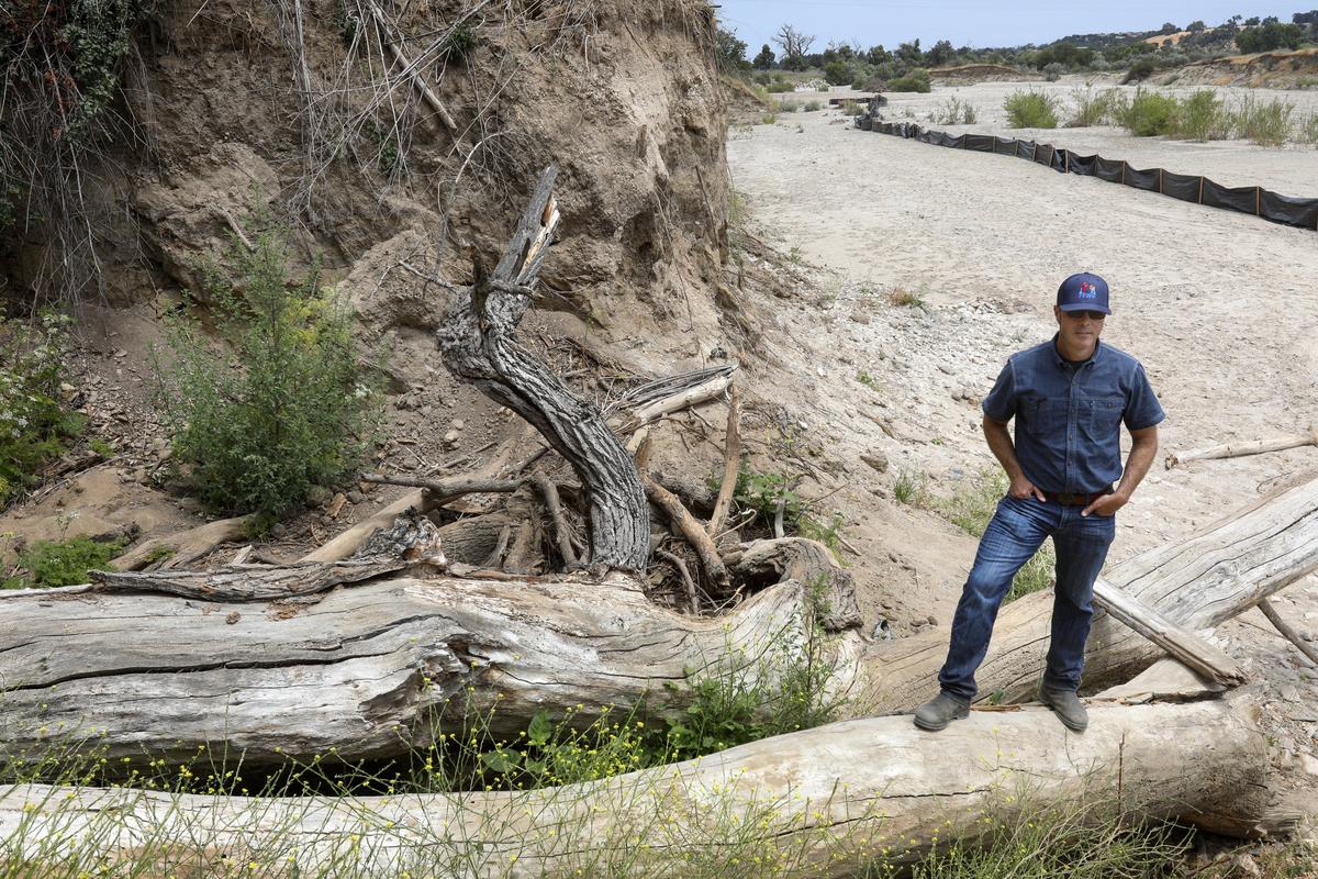 Large cottonwoods and oaks have been felled by the erosion. Christopher Alakel Water Resources Manager of Paso Robles shows the Thunderbird wellfield beside the Salinas River, which was threatened by the Salinas River after heavy winter rains 2017-18. The city is paying $750,000 to protect the wellfield, which is a major source of water for Paso Robles residents.