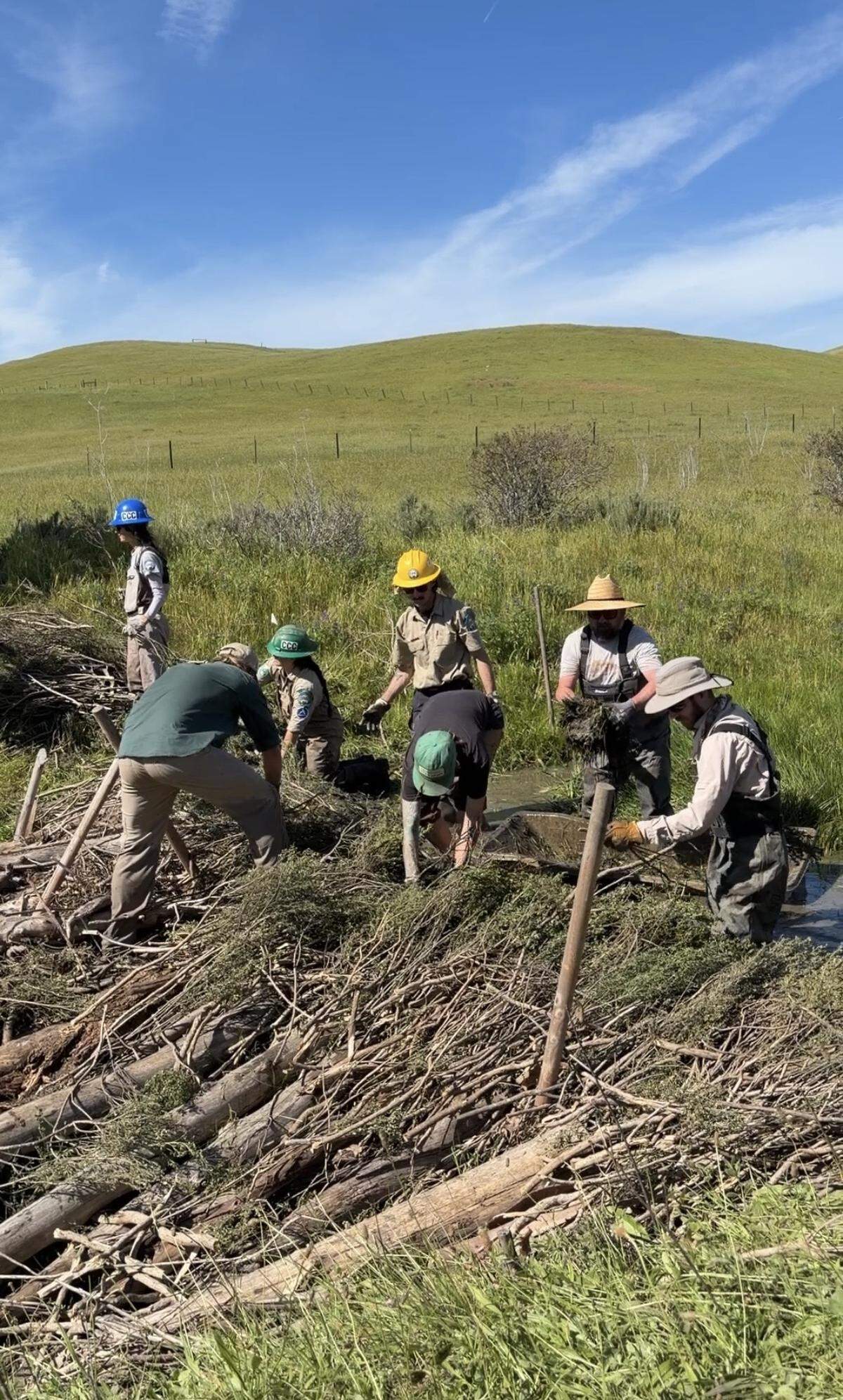 Volunteers build a beaver dam analog in Walter Creek on March 12, 2026.