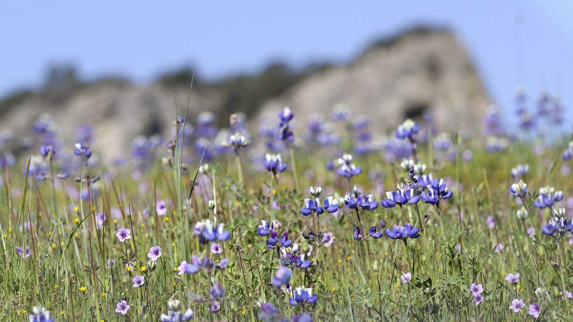 Clearer skies on Central Coast and in the world provide one benefit of virus lockdown
