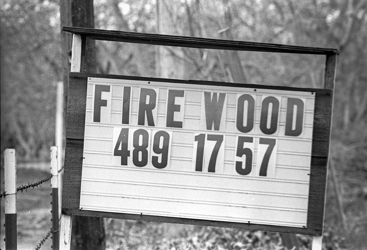An Arroyo Grande walnut orchard was being demolished March 23, 1978 and sold for firewood.
