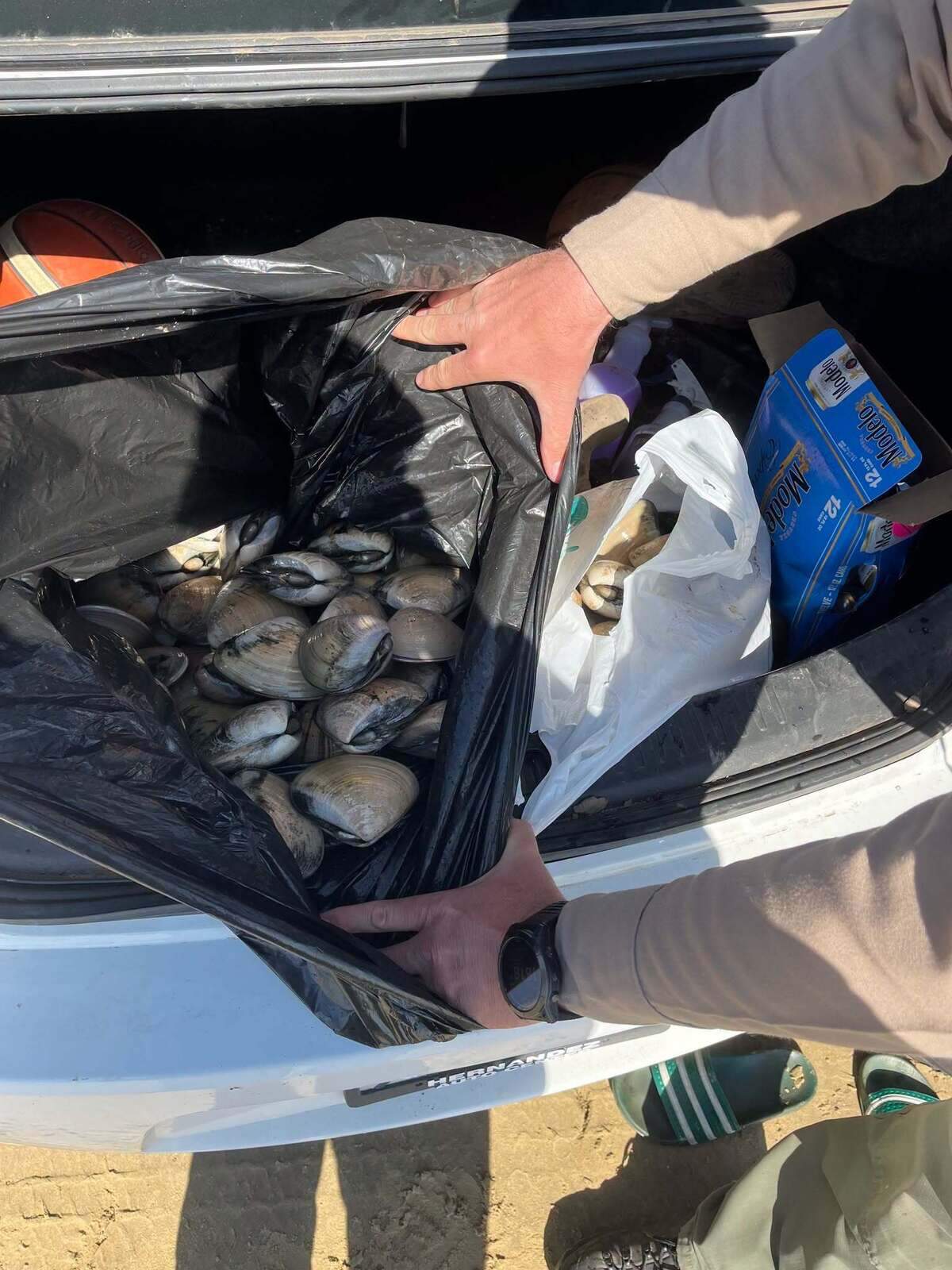 Three people were cited for illegally harvesting 107 Pismo clams at the Oceano Dunes in April 2026.