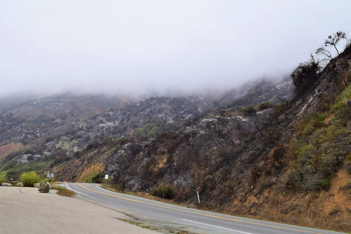 Fog lingers over the charred remains of burns as firefighters attempt to fight the Dolan Fire burning in the Big Sur area.