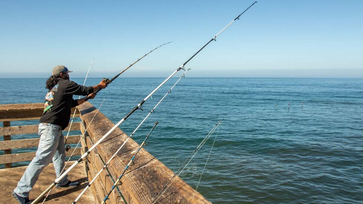 Santa Maria resident Anthony Pinedo casts off of Pismo Beach Pier on July 8, 2026, hoping to pull in a thresher shark. He said smoked shark is his favorite snack.