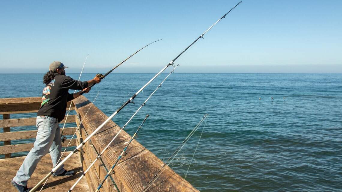 Fishermen are dangling dead sharks from Pismo Pier. Is it legal?