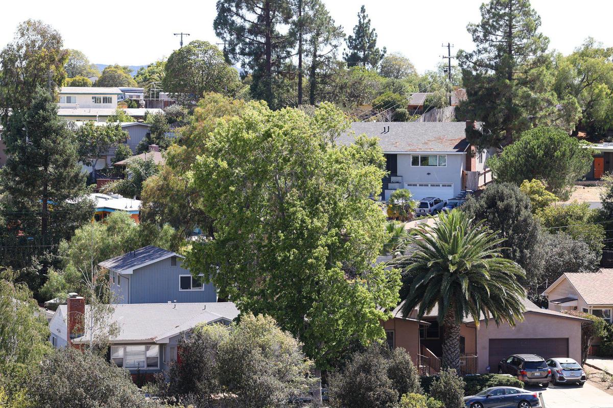 Neighborhoods closest to Cal Poly, like this one near Slack Street and Grand Avenue, have high concentrations of homes rented out for student housing.