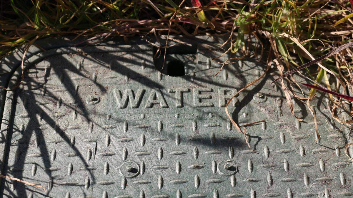 A water meter cover in Cambria, California.