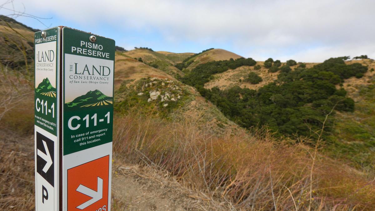 At a trail crossing in Pismo Preserve, a trail marker indicates the beginning of Vamonos Canyon Trail, which offers a short trek to a densely vegetated canyon.