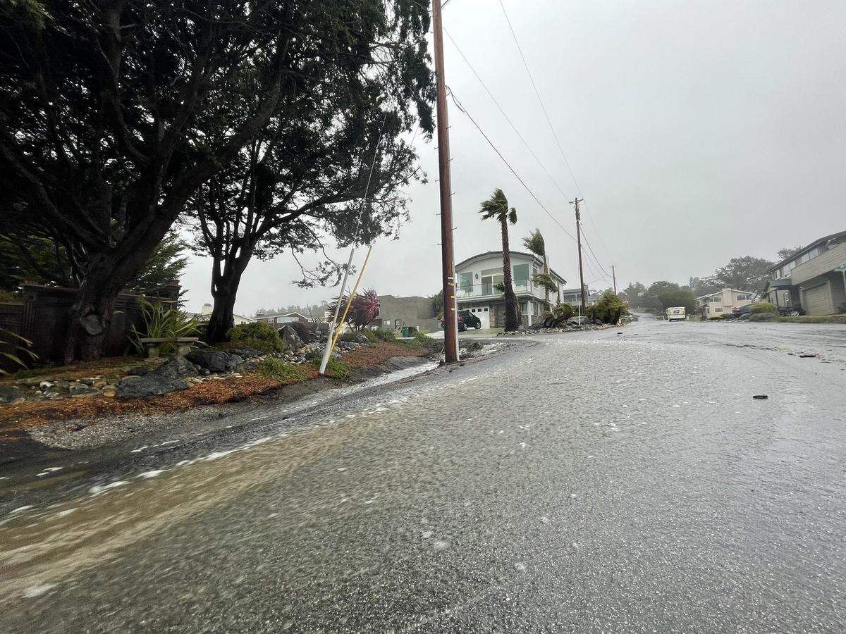Water rushed through a gutter in Cambria as the wind whipped trees.