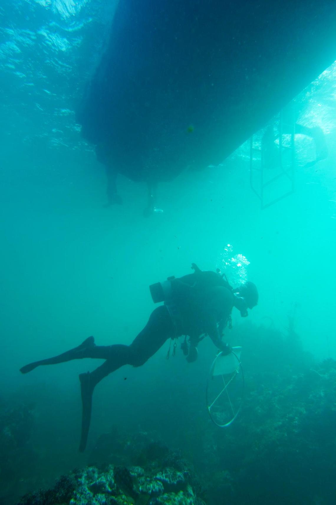 A research diver gathers information in Diablo Cove for Tenera Environmental. For several decades, PG&E has commissioned studies of the effects of warm-water discharges from the nuclear power plant.