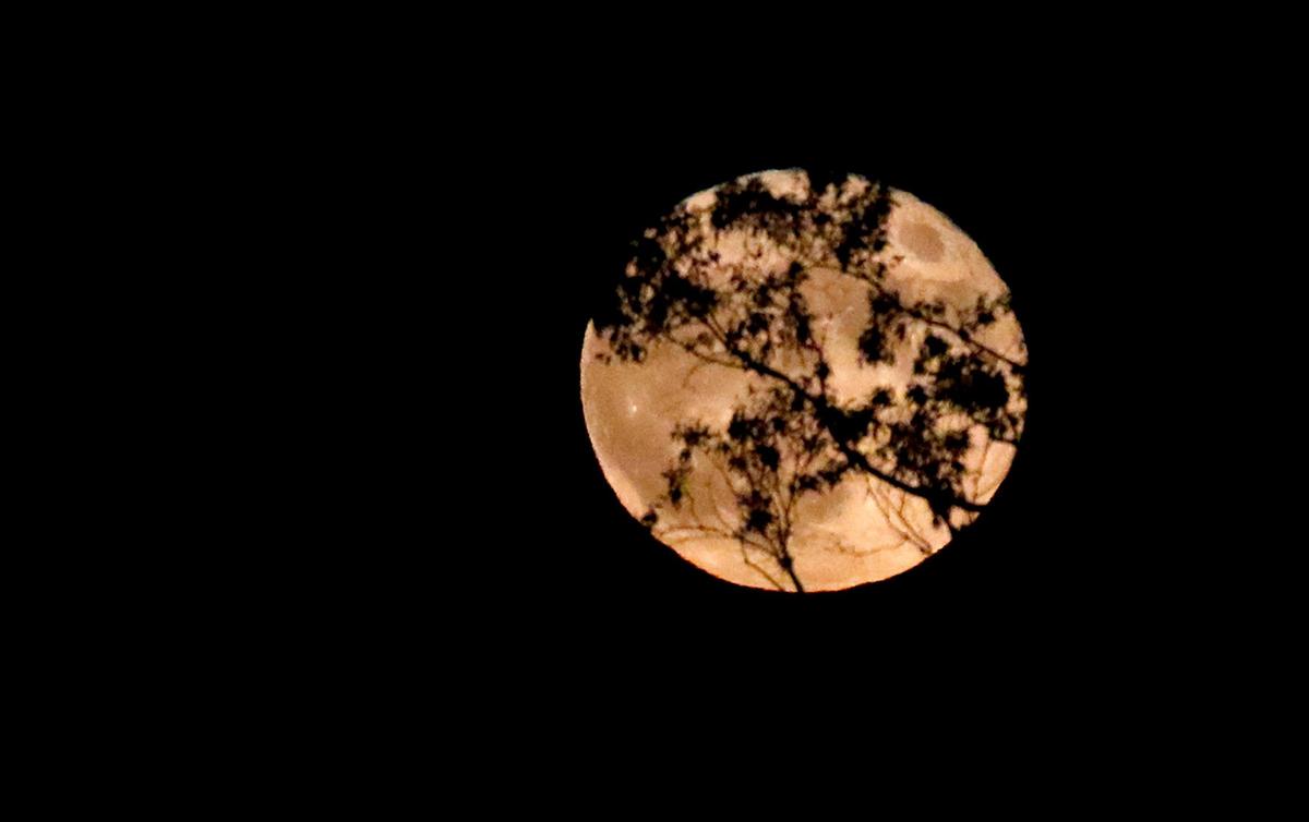 A full moon rises in the skies over Cayucos Drive in San Luis Obispo in 2022. The beaver supermoon will be officially full on Friday, Nov. 15, 2024.