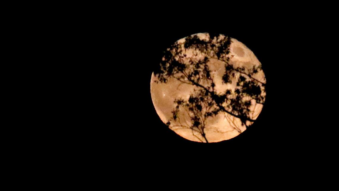 Biggest supermoon of the year, comet and meteor shower visible over southern Illinois soon