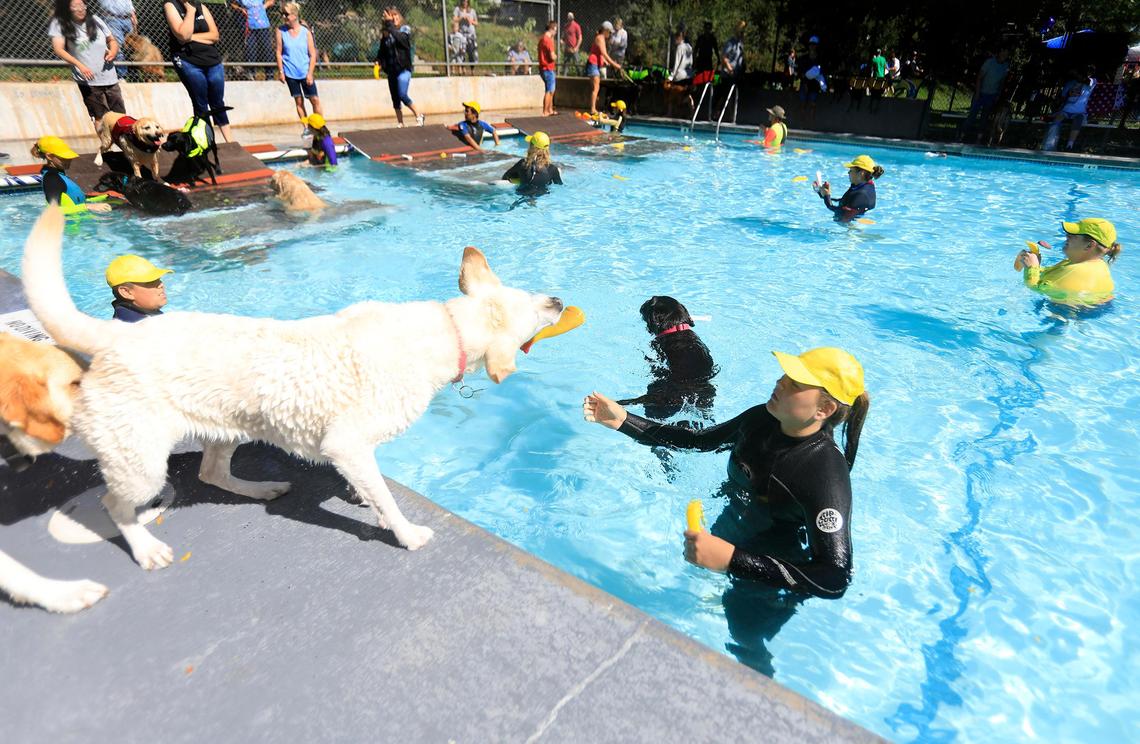 A volunteer tosses a toy to Mercy, an 8-year-old Labrador retriever that belongs to Linda Hensley of Los Osos during Dog Splash Days at Templeton Community Pool in 2019.