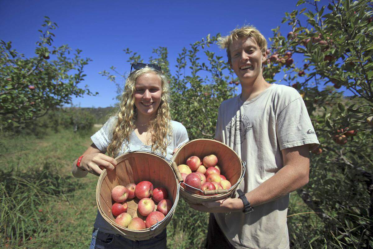 U-Pick SLO Creek Farms