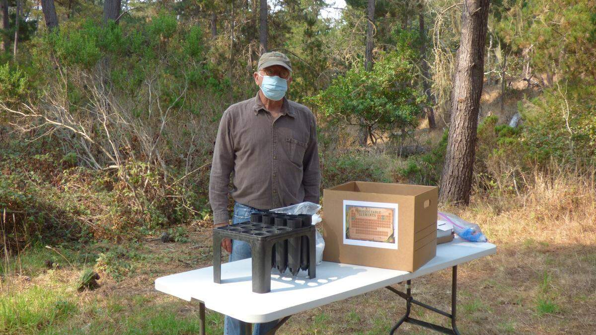 Rick Hawley of Greenspace — The Cambria Land Trust — virtually shows Santa Lucia Middle School students how to plant Monterey pine seeds, using contents of a kit the land trust provided so the youngsters could experience raising seedlings from those seeds. It’s part of a Greenspace ‘Seeds to Seedlings’ project that’s funded by the Harold J. Miossi Charitable Trust. Hawley’s presentation was videoed in Greenspace’s Strawberry Canyon preserve.