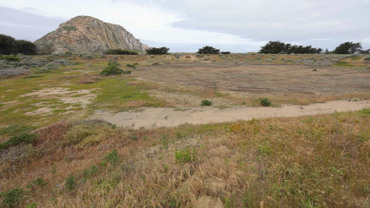 Texas-based energy company Vistra Corp. applied to build a battery storage facility on a 24-acre parcel that used to be an oil tank farm, shown here on April 24, 2024.