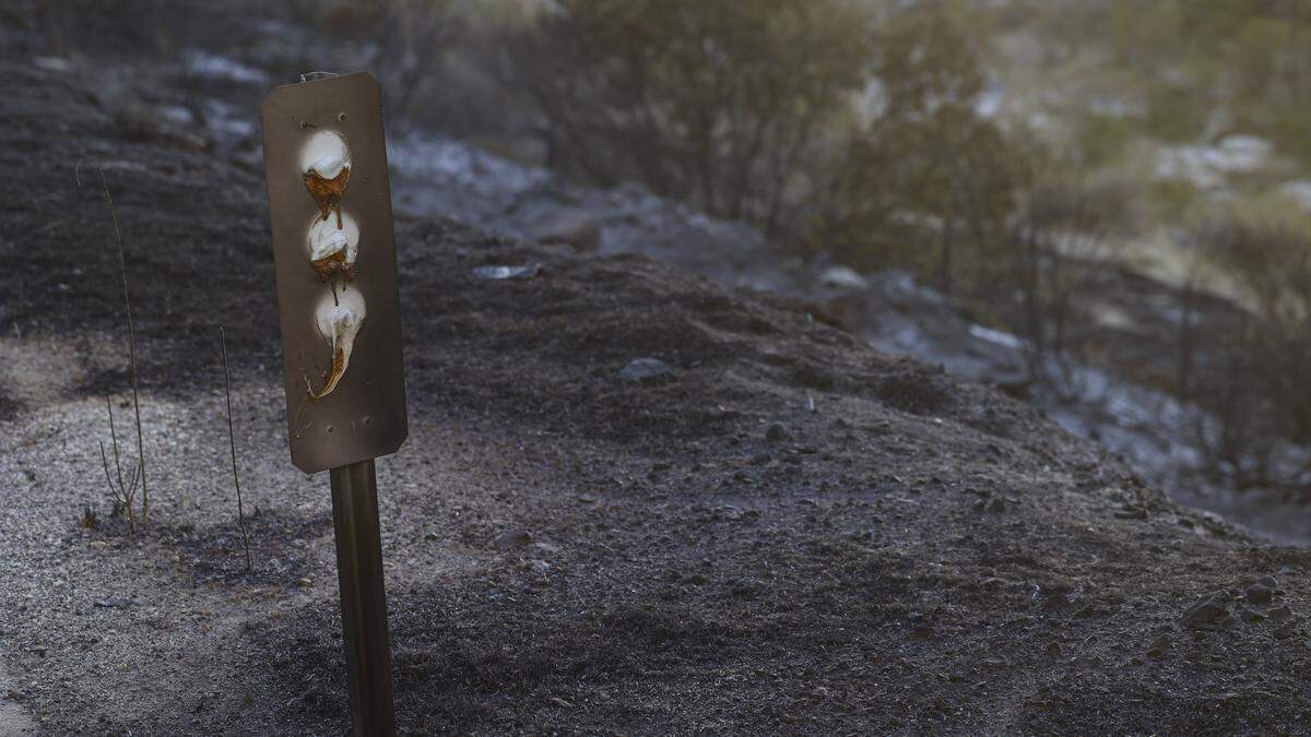 Highway roadside marker reflectors melted from the heat. The Gifford Fire burned an estimated 5,000 acres on both sides of Highway 166 east of Highway 101 on August 1, 2025.