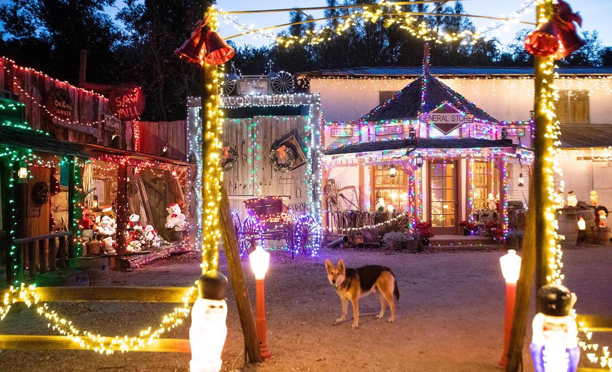 John Rickwald transforms his 10-acre Creston ranch each year into a massive holiday spectacle, complete with almost 3 miles worth of lights. Max the German shepherd greets guests.