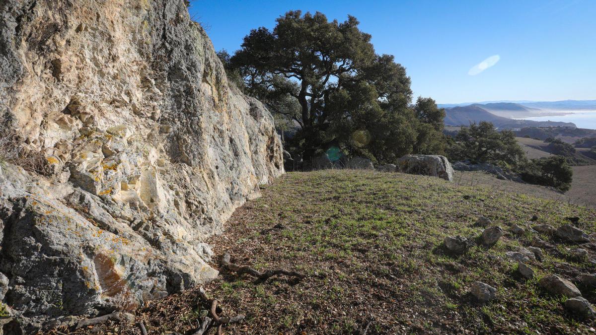 The Wild Cherry Canyon property is a 2,400 acre ranch in the hills above Avila Beach and Port San Luis. This hiltop has limestone formations and coast live oaks. Shell Beach is at distant right.