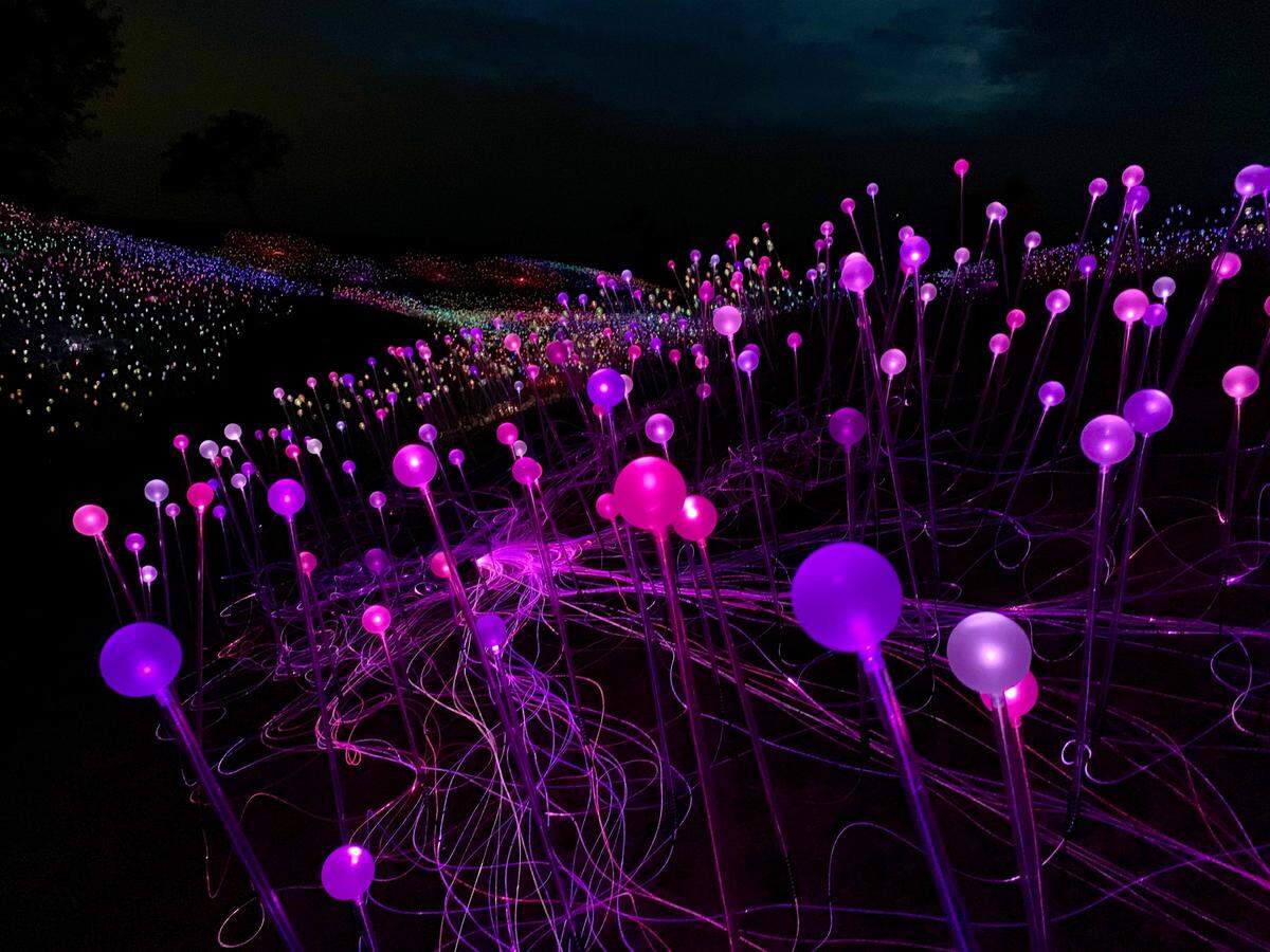 The Field of Light at Sensorio is made up of more than 58,000 stemmed spheres lit by fiber-optic cables.