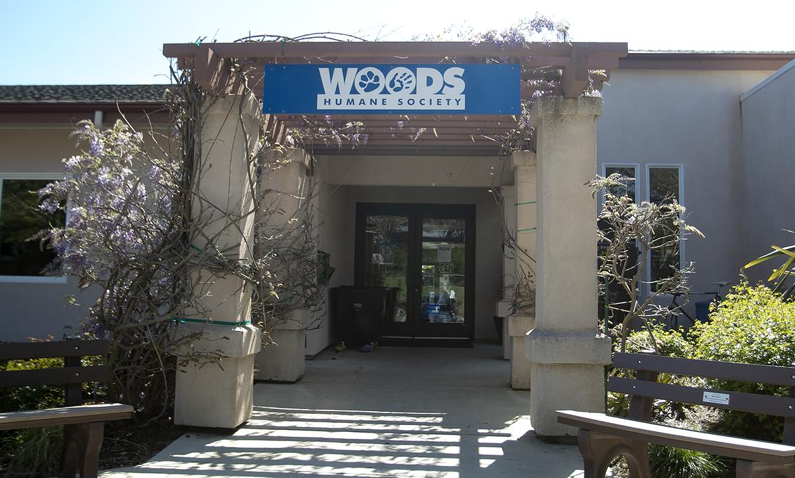 Woods Humane Society in San Luis Obispo and Atascadero is offering $25 adoption fees as part of its Home for the Holidays promotion, running Saturday, Dec. 16, through Sunday, Dec. 24, 2023.