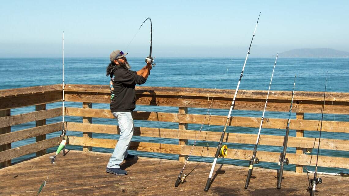 Sharks dangling off Pismo Pier and a weekend heat wave. Today’s top stories