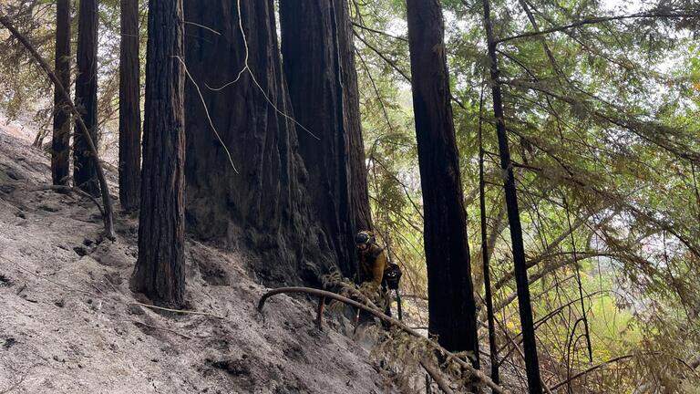 Part of Hwy. 1 reopens north of SLO County as Big Sur fire containment improves