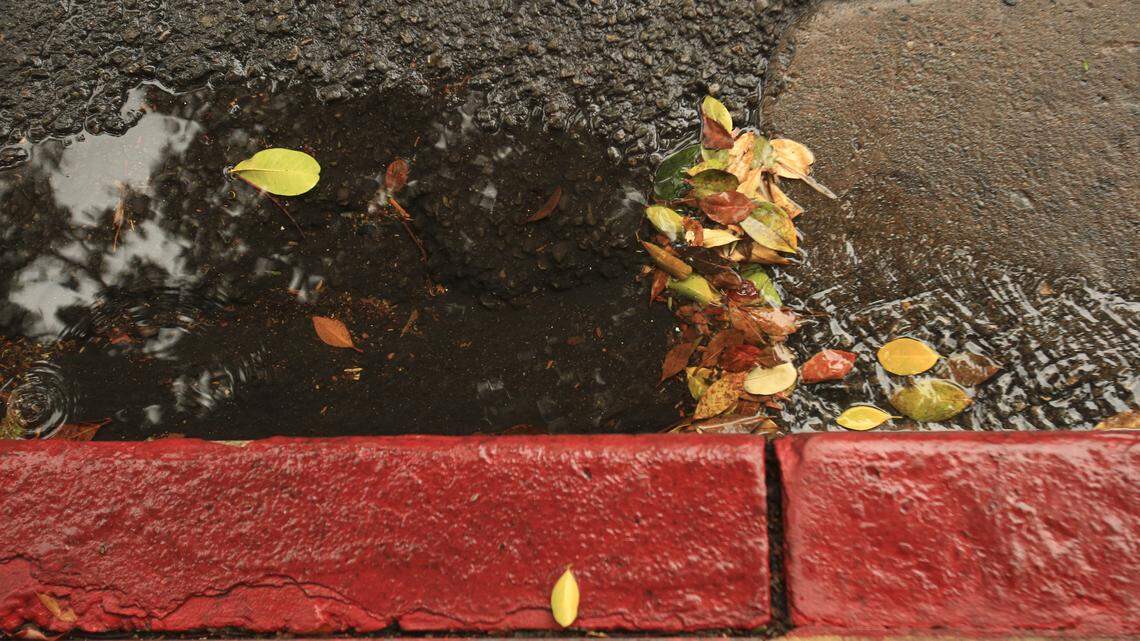 Gutters were flowing in San Luis Obispo. A late season storm soaked San Luis Obispo County on April 21, 2026.
