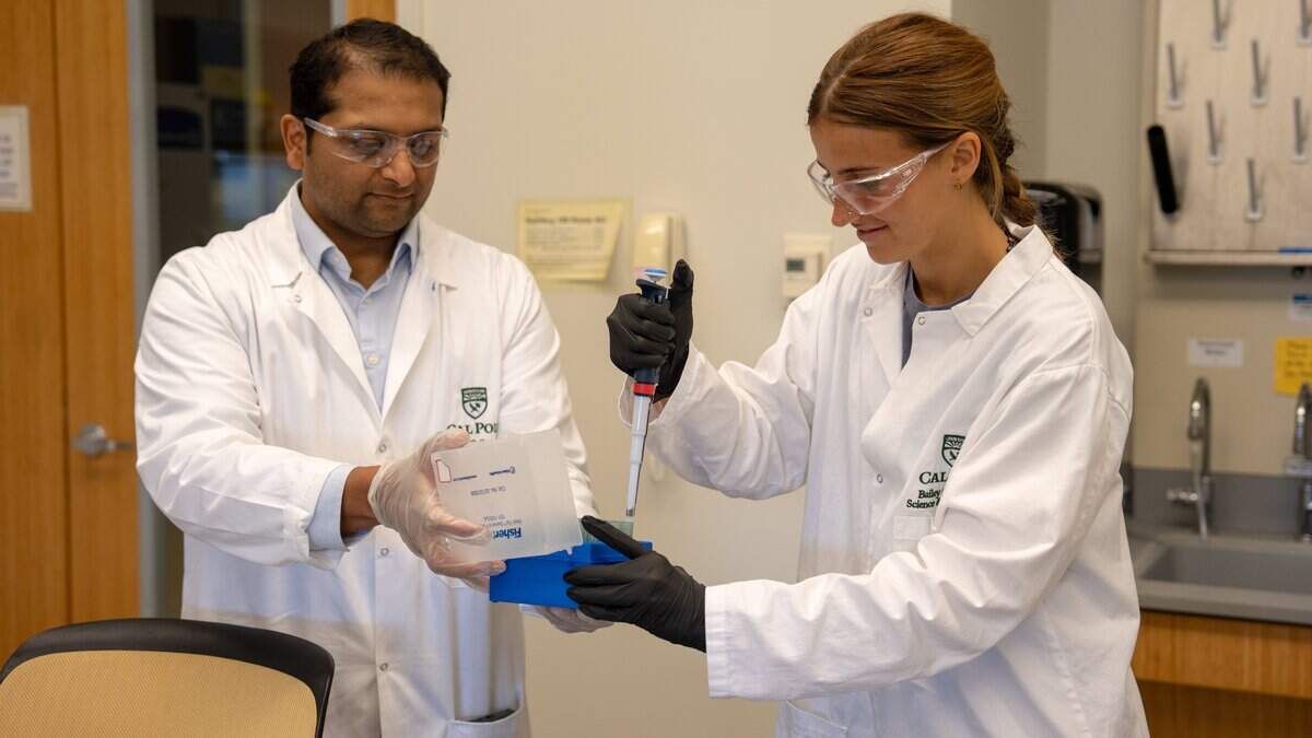 Dr. Javin Oza and fourth year biological science major Grace Montgomery pipette a solution containing synthetic cell components at Cal Poly on June 24, 2026. Synthetic cells are manufactured in batches of millions in labs, and can be created to accomplish specific functions.