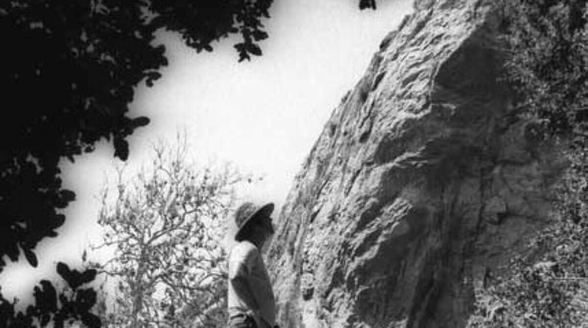 Mike Burrell explores the remains of the Bishop Peak rock quarry, now overgrown by trees and brush.