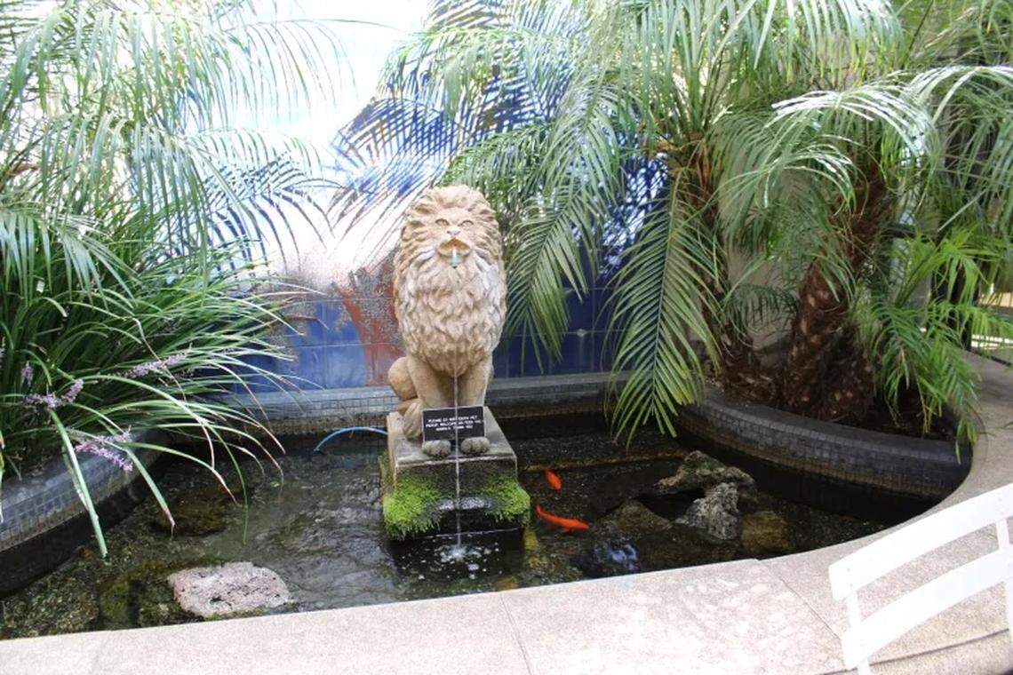 Leo’s fountain has a sign asking visitors not to disturb the turtle or the koi fish with which he shares the space at Hook & Press Donuts in Santa Barbara.
