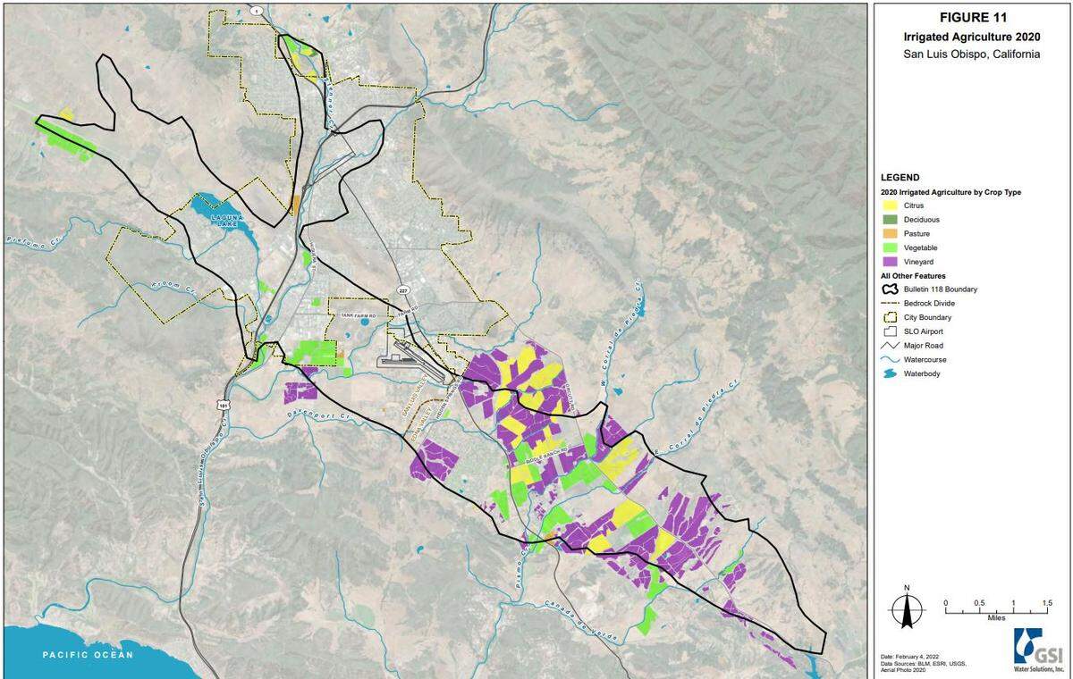 This graphic shows where and what kind of irrigated crops are planted in the San Luis Obispo Valley groundwater basin as of 2020.