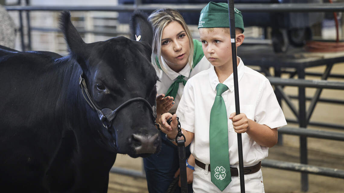Mid-State Fair livestock shows teach life lessons to local kids. Here’s an inside look