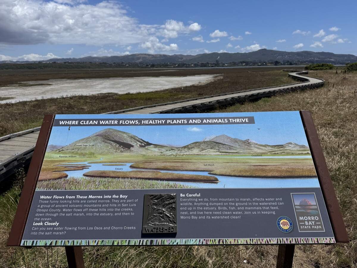 The view from a portion of the Marina Peninsula Trail in Morro Bay on May 27, 2026.