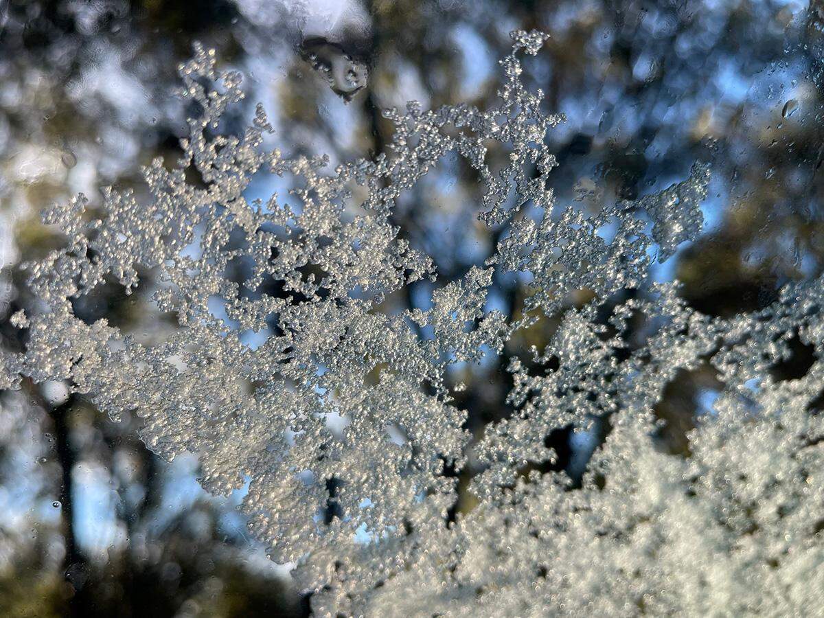 Snow is seen in west Paso Robles on Thursday, Feb. 23, 2023.