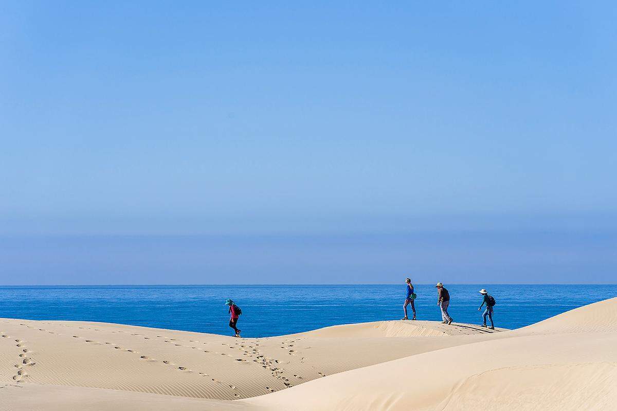 Hikers walk through the sand dunes near Oceano on a clear and calm November day.