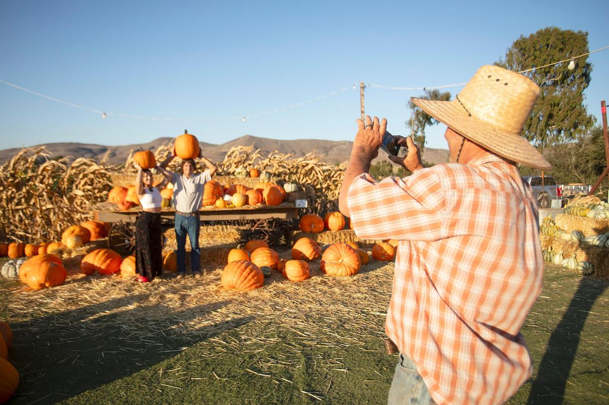 Brookshire Farms owner Shawn Callaway takes a photo of a Rebecca Twyman, Paso Robles and Trajan Beecham, from Los Osos, who are purchasing pumpkins for Halloween.