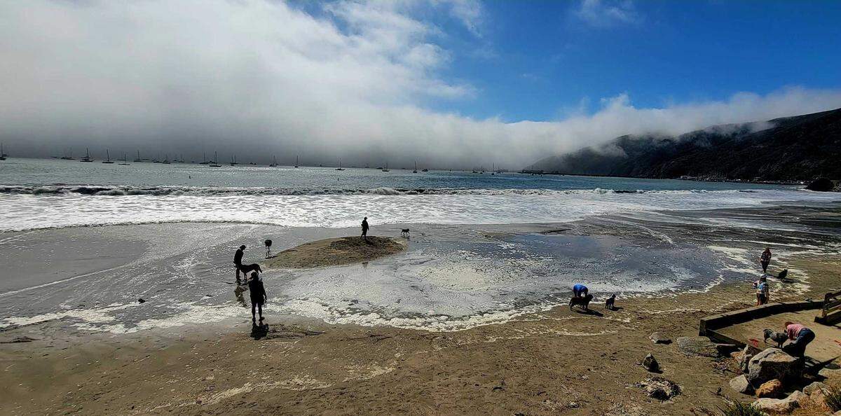 People and dogs explore high tide in Avila Beach on Thursday, Oct. 19, 2023.