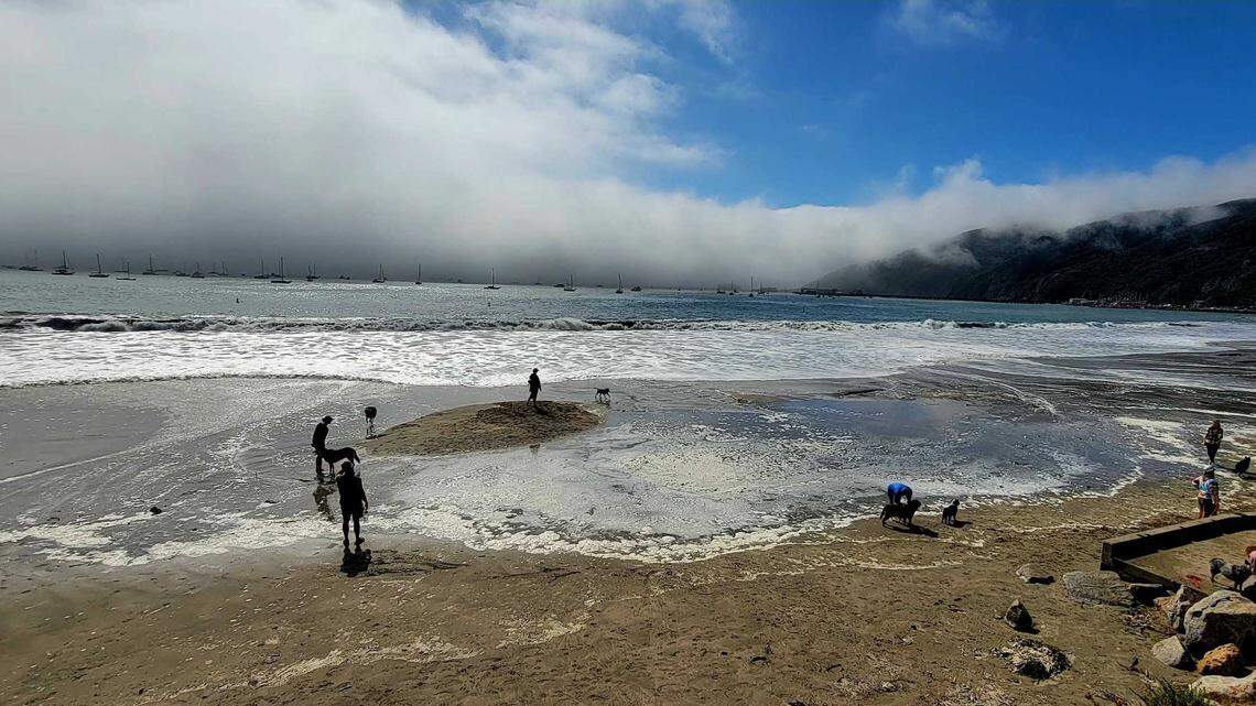 SLO County beach is among most bacteria-ridden spots in the US. See the list