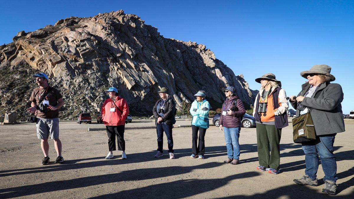 Birders explore the area around Morro Rock as part of the the Morro Bay Bird Festival on Jan 16, 2025. This group was lead by birding podcasters Erik Ostrander and Hannah Buschert, seen from the left.