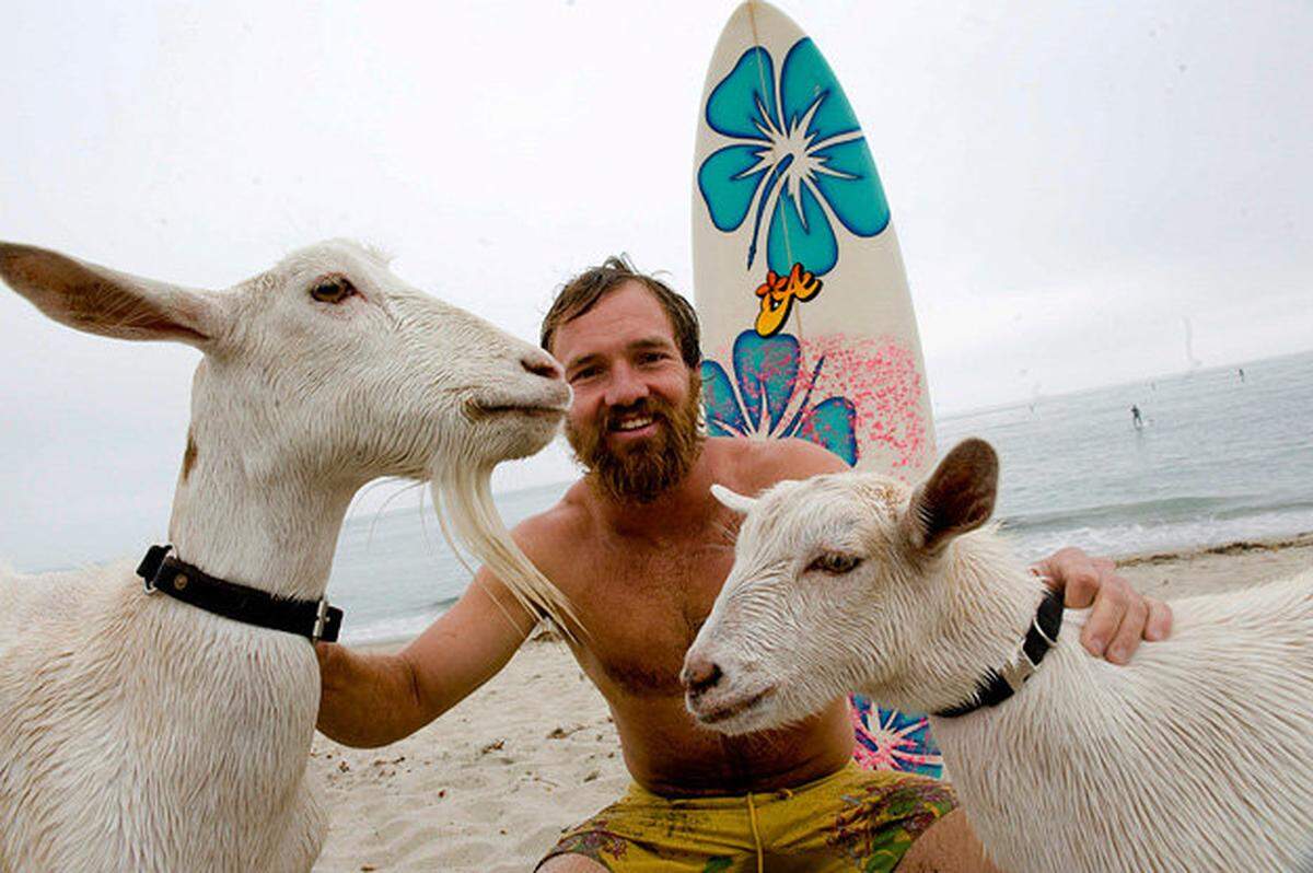 Dana McGregor of Pismo Beach surfs with his goats Pismo, left, and Pismo’s mother, Goatee, at San Onofre State Beach in July 2012.