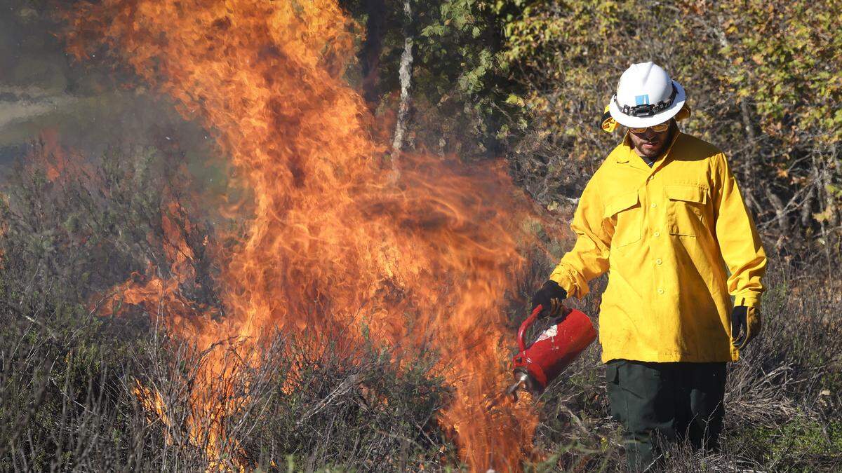 The yak titʸu titʸu yak tiłhini Northern Chumash Tribe led a cultural burn at the Johnson Ranch Open Space on Dec. 11, 2025. Here, Tyler Mata uses a drip torch to ignite a burn pile.