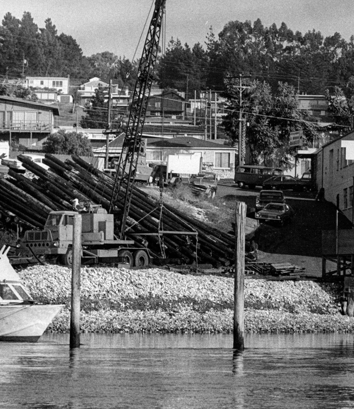 When these pilings were stacked by a Morro Bay businessman, his plans became the concern of half a dozen agencies, whose jurisdictions were determined, in part by the tides. This photo was published on Jan. 13, 1973.